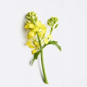 after_sun_hydrating_hair_mask_390884_125ml_75ceaf5.1x